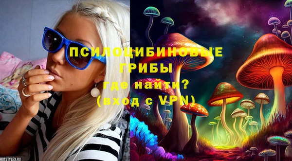спиды Пересвет