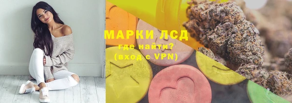 спиды Пересвет