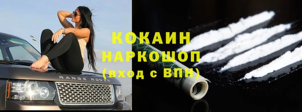 ГАЛЛЮЦИНОГЕННЫЕ ГРИБЫ Переславль-Залесский