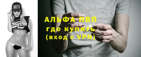 ГАЛЛЮЦИНОГЕННЫЕ ГРИБЫ Переславль-Залесский