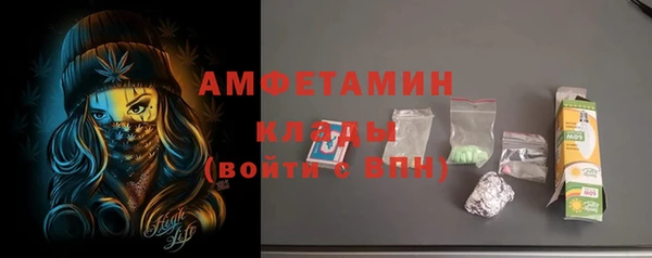 спиды Пересвет