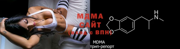 спиды Пересвет