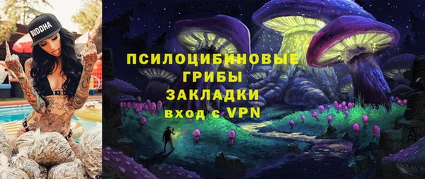 ГАЛЛЮЦИНОГЕННЫЕ ГРИБЫ Переславль-Залесский