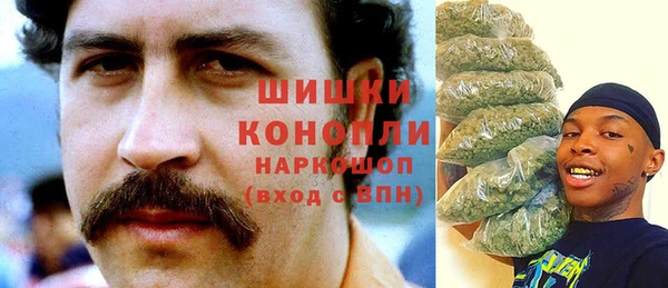 спиды Пересвет