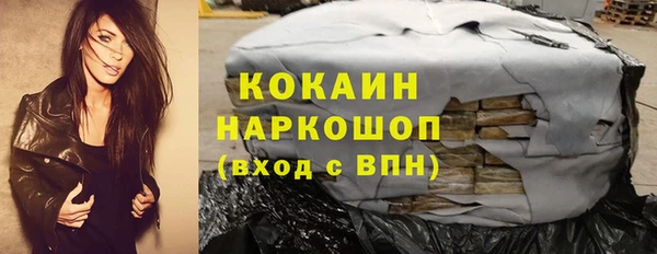 спиды Пересвет